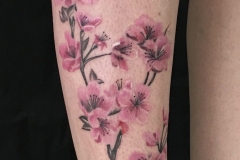 1 fleurs branche de cerisier