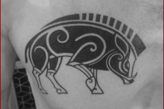 tatouage sanglier wild boar tattoo celtic