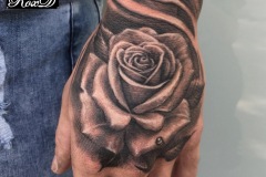 rose hand