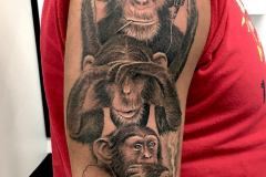les 3 singes
