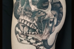 Tatouage crâne et serpents