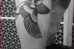 hirondelle swallow tattoo tatouage dotwork