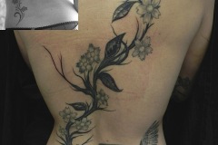 modification-ancien-tatouage