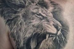 3 lion tattoo